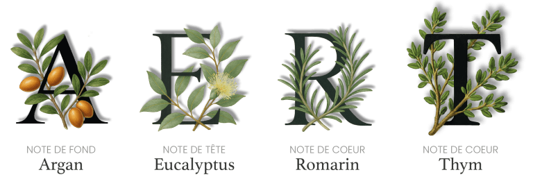 Huile de massage relaxante Cocoon d’Orient – Argan, thym, eucalyptus, romarin