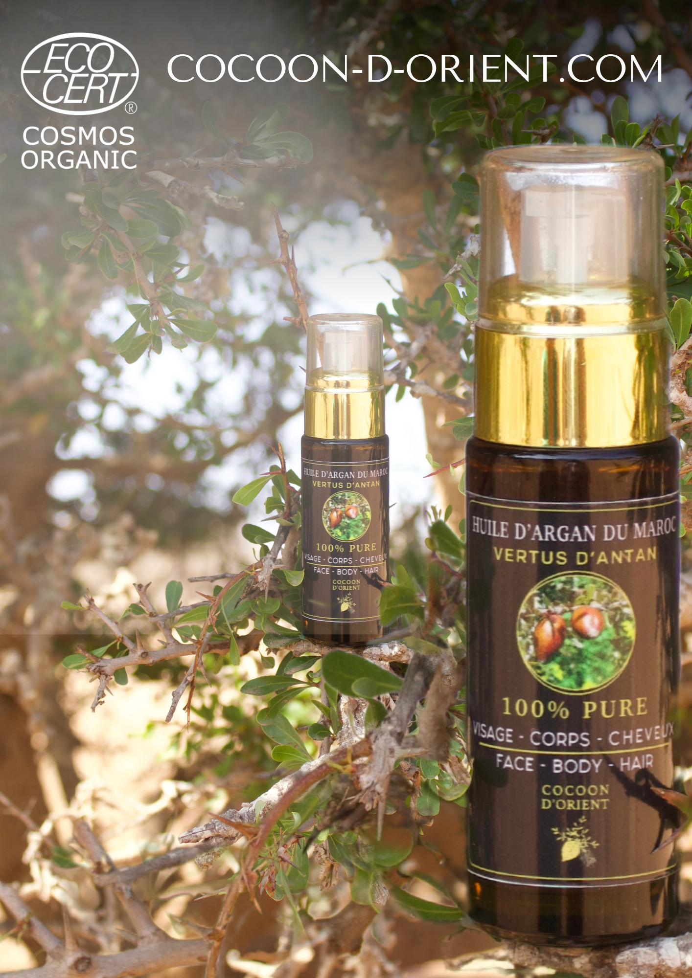 Arbre d’Arganier – Huile précieuse pressée à froid