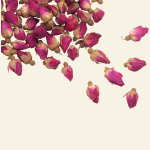 Boutons de rose de Damas – ingrédient naturel Cocoon d’Orient