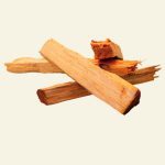 Bois de santal – ingrédient naturel apaisant Cocoon d’Orient