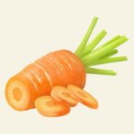 Carotte et carotène – ingrédient naturel éclat et luminosité pour la peau Cocoon d’Orient