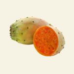 Figue de Barbarie – fruit du cactus utilisé dans les soins naturels Cocoon d’Orient