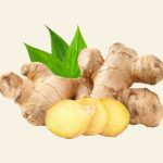 Racine de gingembre naturel utilisée pour stimuler et renforcer la barbe dans les soins Cocoon d’Orient.