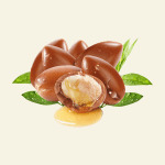 Noix d’argan et huile d’argan bio du Maroc – Cocoon d’Orient